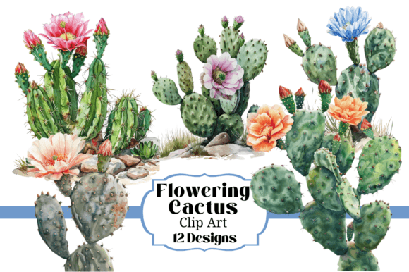 Download 12 Watercolor Flowering Cactus Clipart - Flow Collection