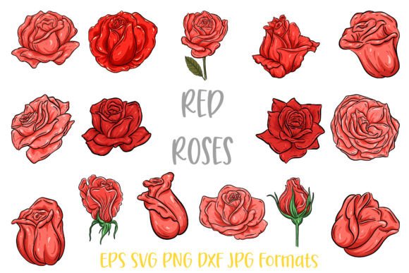 Download Red  Rose Flower Line Art Illustrations - Flow Collection