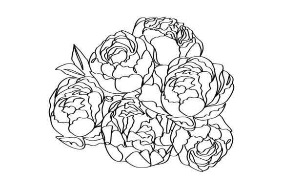 Download Bouquet of Peony Flowers Elegance Linear - Flow Collection