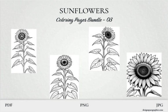 Download Sunflower Coloring Pages Pack Bundle 3 - Flow Collection