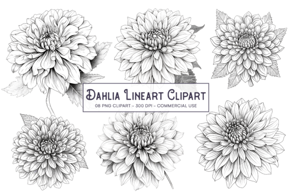 Download Dahlia Line Art Flower PNG Sublimation - Flow Collection