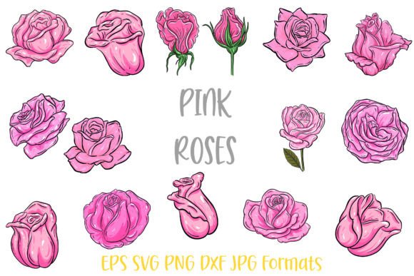 Download Pink Rose Flower Line Art Illustrations - Flow Collection