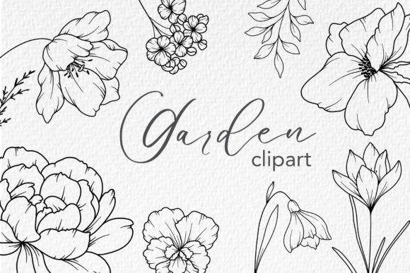 Download FLOWERS LINE DRAWING, Floral Line Art - Flow Collection