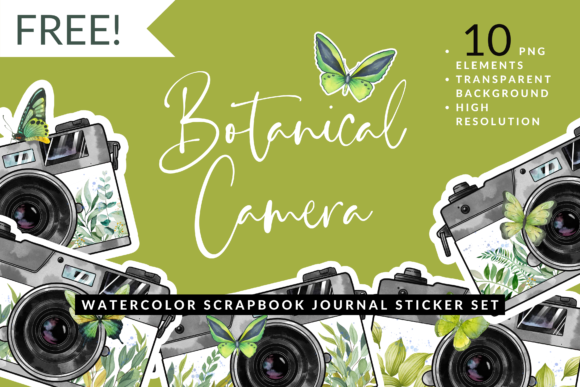 Download Watercolor Leaf Butterfly Camera Sticker - Sticker Collection