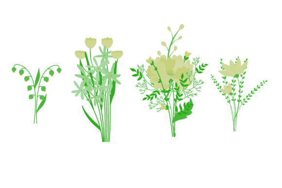 Download Set Art Flower Branch - Premium Resources