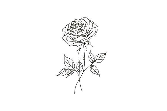 Download Minimal Rose Flower Botanical - Flow Collection