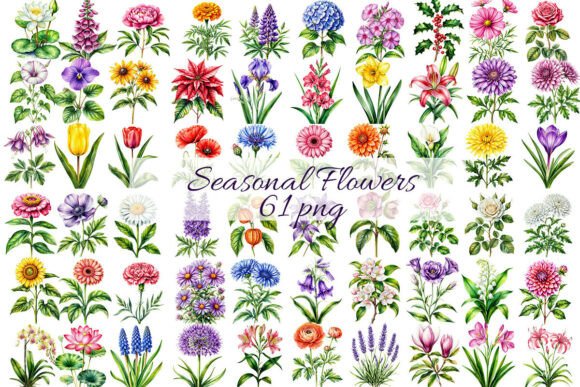 Download 61 Seasonal Flowers by Birth Month. - Flow Collection